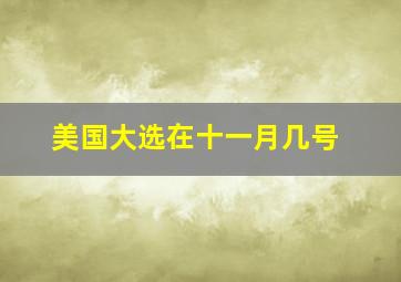 美国大选在十一月几号