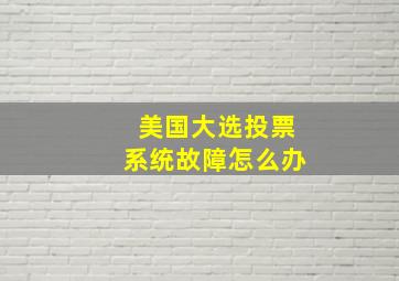 美国大选投票系统故障怎么办