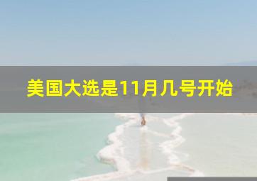 美国大选是11月几号开始