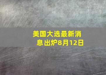 美国大选最新消息出炉8月12日