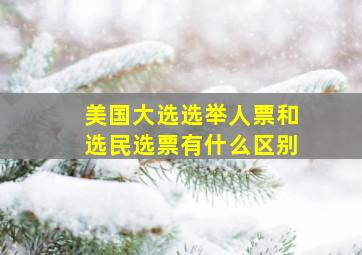 美国大选选举人票和选民选票有什么区别