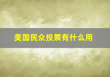 美国民众投票有什么用