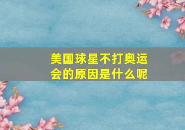 美国球星不打奥运会的原因是什么呢