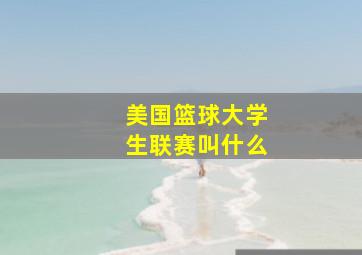 美国篮球大学生联赛叫什么