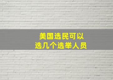 美国选民可以选几个选举人员