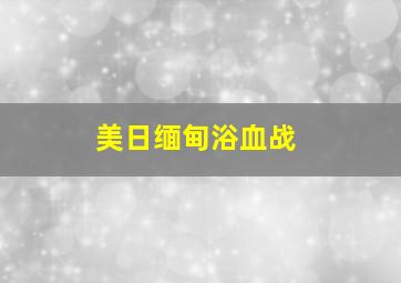 美日缅甸浴血战