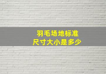 羽毛场地标准尺寸大小是多少