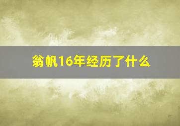 翁帆16年经历了什么