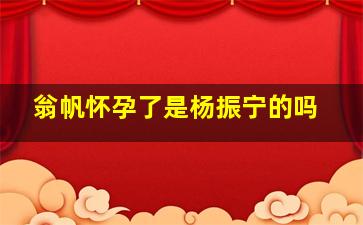 翁帆怀孕了是杨振宁的吗