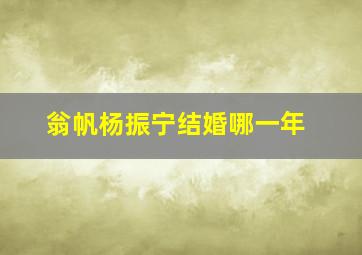 翁帆杨振宁结婚哪一年