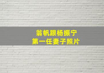 翁帆跟杨振宁第一任妻子照片