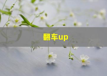 翻车up