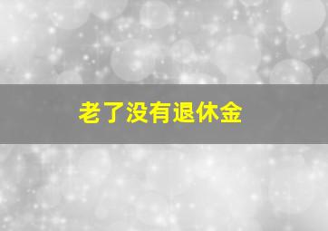 老了没有退休金