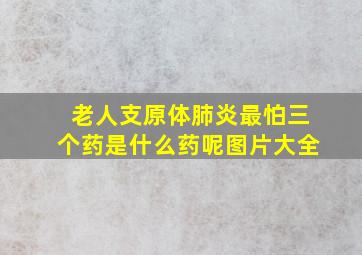 老人支原体肺炎最怕三个药是什么药呢图片大全