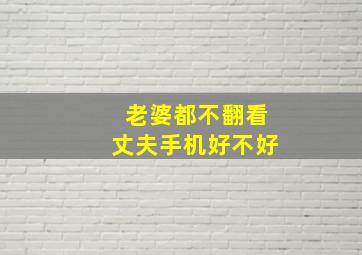 老婆都不翻看丈夫手机好不好