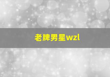 老牌男星wzl