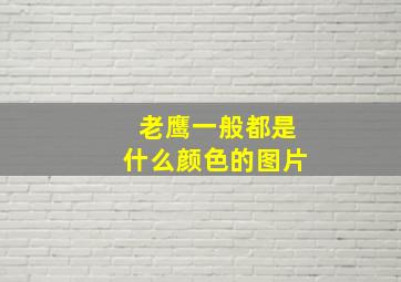 老鹰一般都是什么颜色的图片