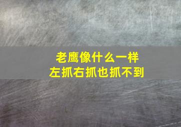 老鹰像什么一样左抓右抓也抓不到