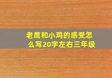 老鹰和小鸡的感受怎么写20字左右三年级