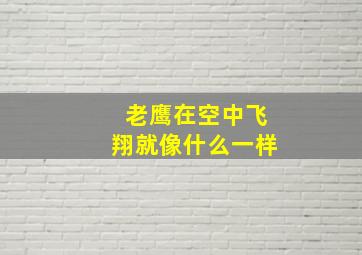 老鹰在空中飞翔就像什么一样