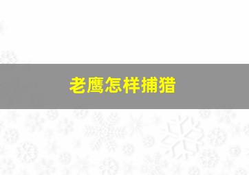 老鹰怎样捕猎