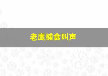 老鹰捕食叫声