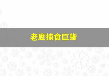 老鹰捕食巨蜥