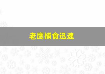 老鹰捕食迅速