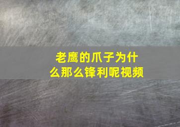 老鹰的爪子为什么那么锋利呢视频