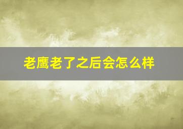 老鹰老了之后会怎么样