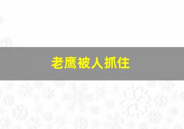 老鹰被人抓住