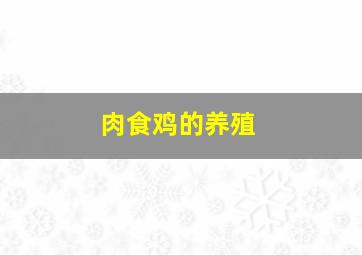 肉食鸡的养殖