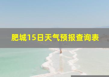 肥城15日天气预报查询表