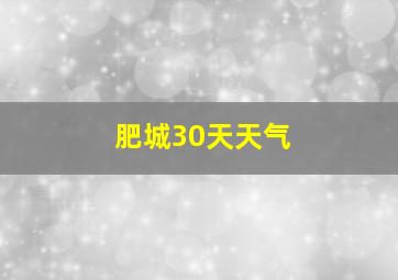 肥城30天天气