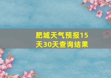 肥城天气预报15天30天查询结果