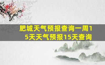 肥城天气预报查询一周15天天气预报15天查询