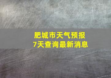 肥城市天气预报7天查询最新消息