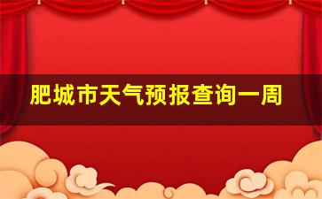 肥城市天气预报查询一周