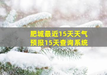 肥城最近15天天气预报15天查询系统