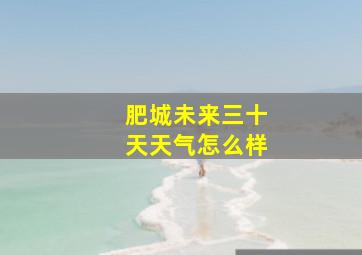 肥城未来三十天天气怎么样