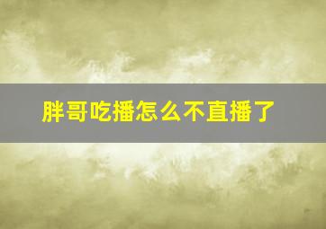 胖哥吃播怎么不直播了