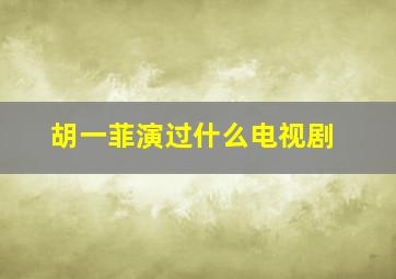 胡一菲演过什么电视剧