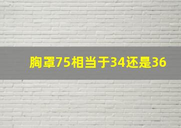 胸罩75相当于34还是36