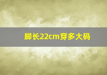 脚长22cm穿多大码