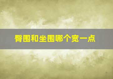 臀围和坐围哪个宽一点