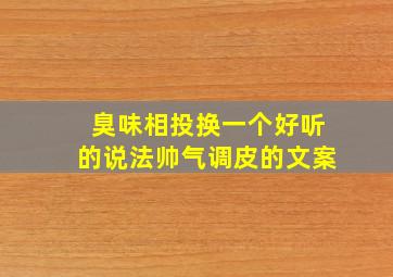 臭味相投换一个好听的说法帅气调皮的文案