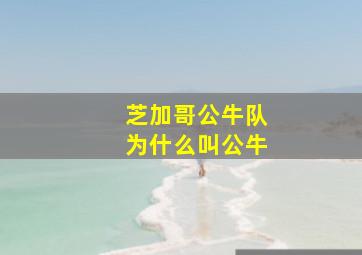 芝加哥公牛队为什么叫公牛