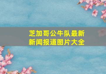 芝加哥公牛队最新新闻报道图片大全