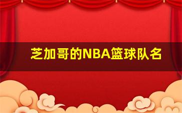 芝加哥的NBA篮球队名