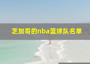 芝加哥的nba篮球队名单